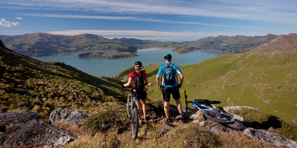 In My Back Yard: The Christchurch 360 Trail