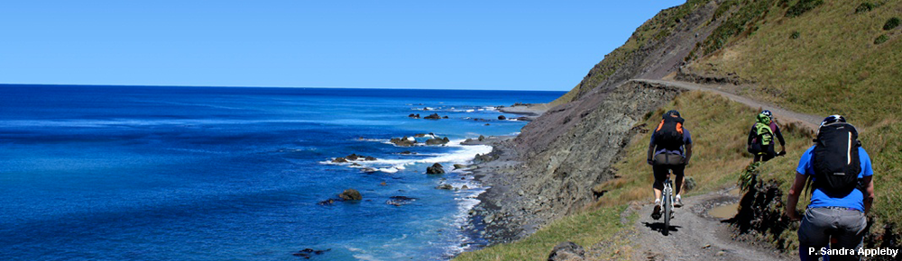 Rimutaka Cycle Trail