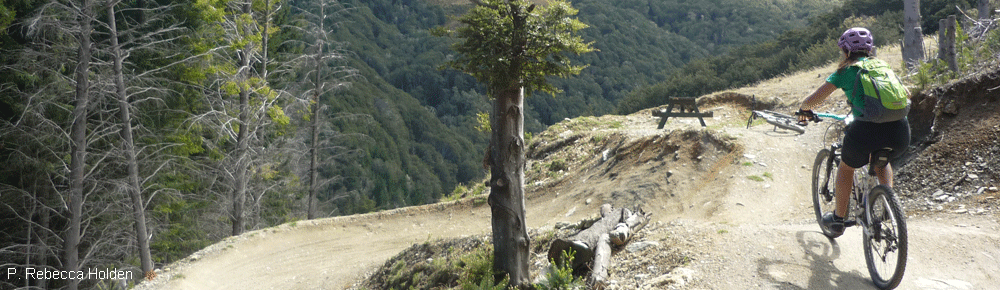 Stoked on a Queenstown Bike Park