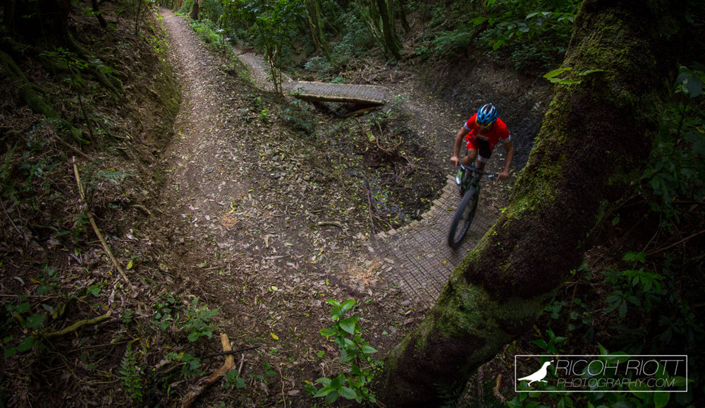 Wellington - A Ridge for Every Rider