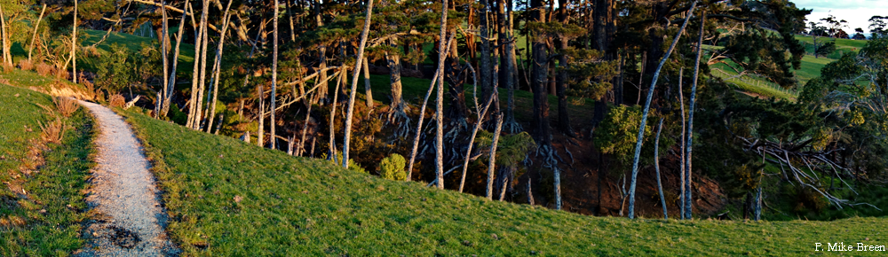 Auckland in 48 Hours