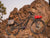 Old Man Mountain - Divide Rack (Universal front/rear mounting)